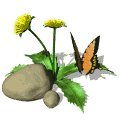 marip4.gif